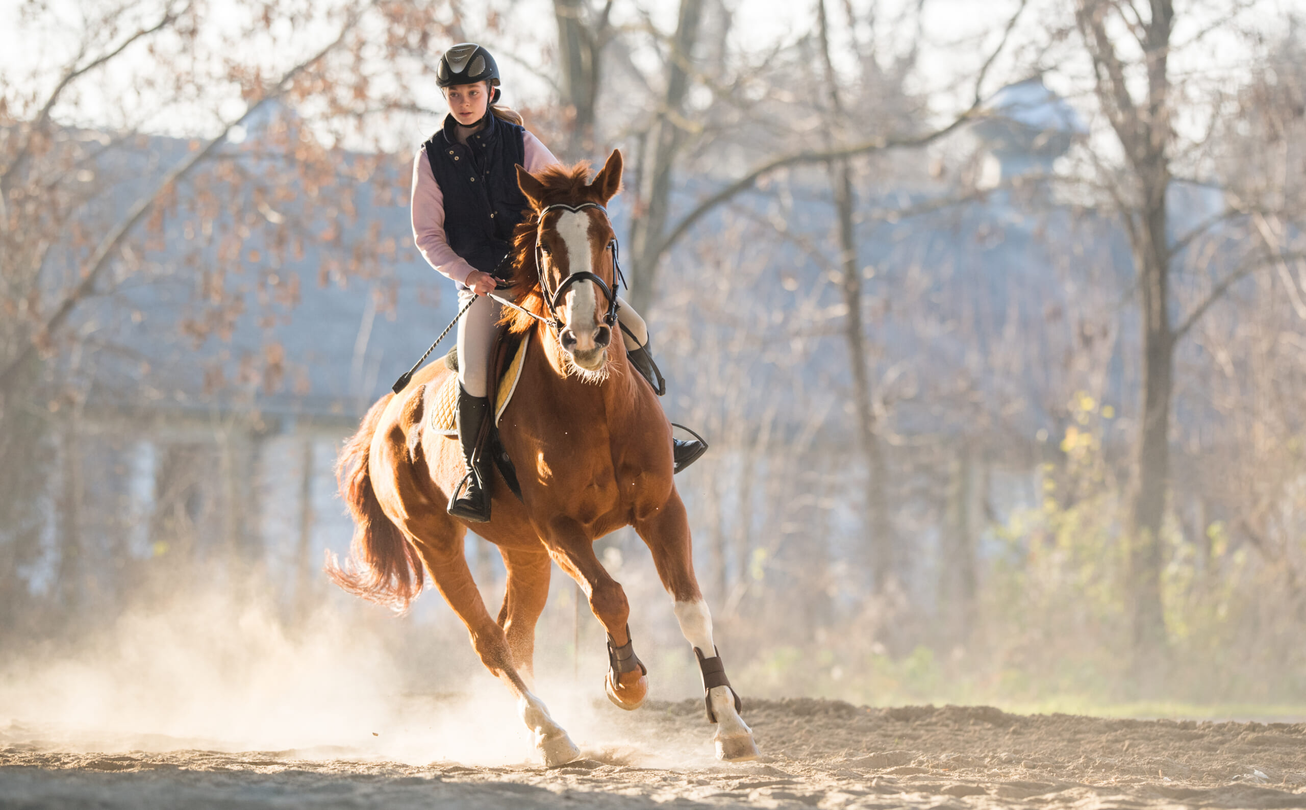 関東で騎手を目指すなら！競走馬育成の専門学校から始める夢への第一歩